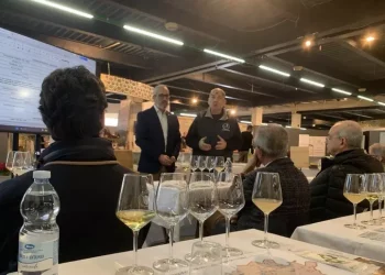 La Vernaccia di Oristano, ‘un vino per adatto a tutti i piatti’