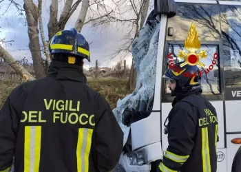 Albero cade su scuolabus: diversi feriti