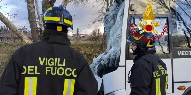 Albero cade su scuolabus: diversi feriti