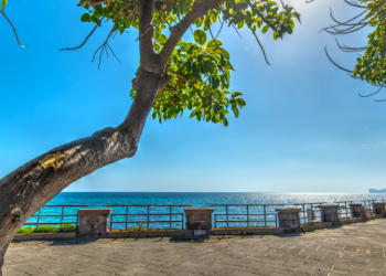 Alghero, spazzamento meccanizzato delle vie alberate cittadine