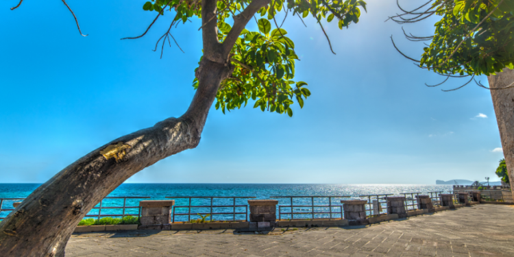 Alghero, spazzamento meccanizzato delle vie alberate cittadine