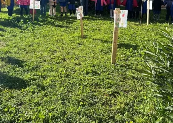 Dopo i furti, nuove piante in scuola elementare a Quartu