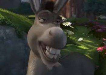 E’ morto Ciuchino (il vero asinello di Shrek)