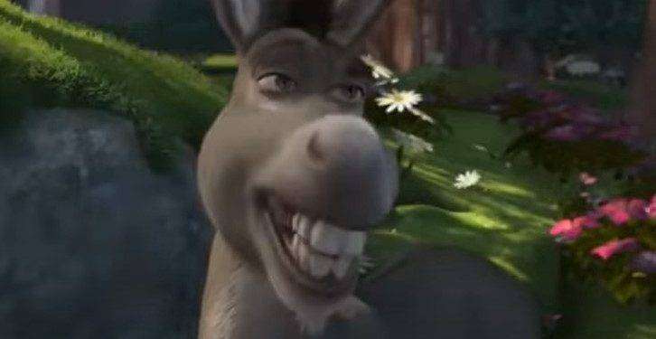 E’ morto Ciuchino (il vero asinello di Shrek)