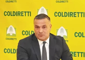 Giuseppe Casu nuovo direttore provinciale Coldiretti Cagliari