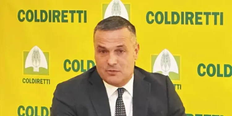 Giuseppe Casu nuovo direttore provinciale Coldiretti Cagliari