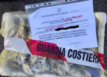 Guardia costiera, sequestri di pesce a Cagliari e Quartu
