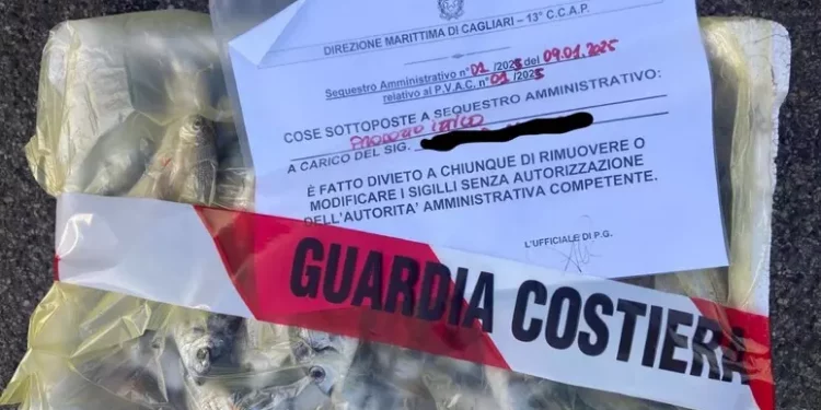 Guardia costiera, sequestri di pesce a Cagliari e Quartu