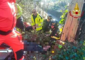Operaio muore travolto da albero che stava tagliando