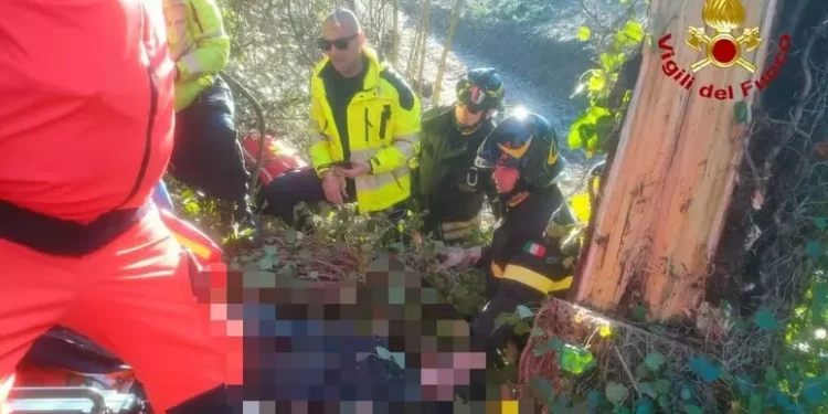 Operaio muore travolto da albero che stava tagliando