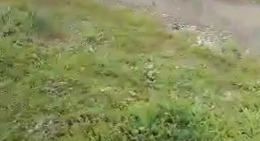 Maxi perdita d’acqua ad Assemini, da mesi nessuno fa nulla