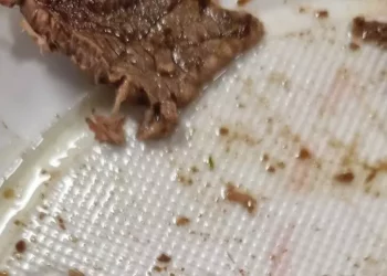 Studenti denunciano, ‘ago in un piatto della mensa a Cagliari’