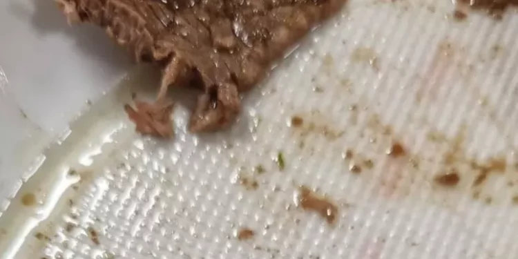 Studenti denunciano, ‘ago in un piatto della mensa a Cagliari’