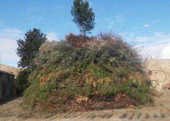 Su Fogadoni di Sant’Antonio e di San Sebastiano, a Mandas, giovedì 16 e sabato 25 gennaio 2025