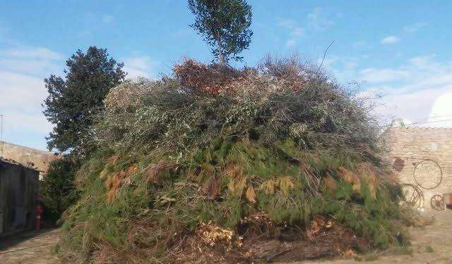 Su Fogadoni di Sant’Antonio e di San Sebastiano, a Mandas, giovedì 16 e sabato 25 gennaio 2025