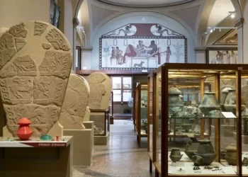 Successo Musei Civici Bologna, incremento del 14% nel 2024