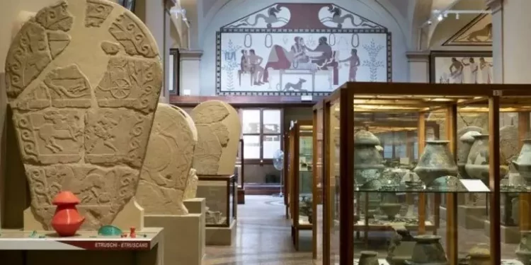 Successo Musei Civici Bologna, incremento del 14% nel 2024