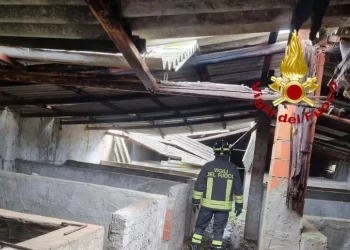 Tetto allevamento crolla per il vento, alcuni animali morti