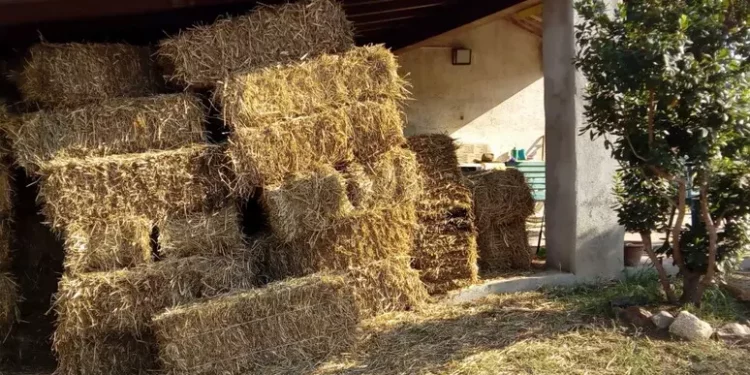 Agricoltura, sbloccati pagamenti Pac da metà febbraio