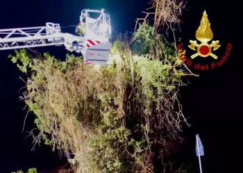 Maltempo, albero pericolante a Sinnai rimosso dai vigili fuoco