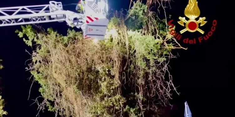 Maltempo, albero pericolante a Sinnai rimosso dai vigili fuoco