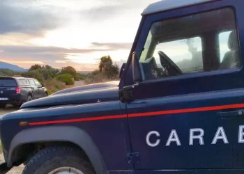 Caccia al cinghiale di notte e con fucile clandestino, 2 arresti