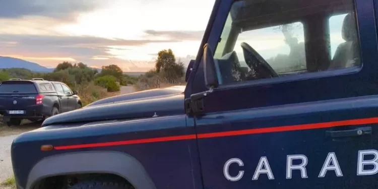 Caccia al cinghiale di notte e con fucile clandestino, 2 arresti