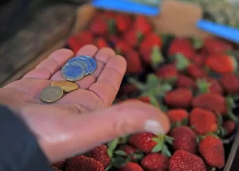 Istat, aumentano il potere d’acquisto e i consumi, ma cala il risparmio