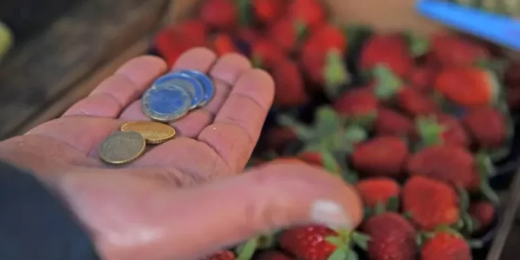 Istat, aumentano il potere d’acquisto e i consumi, ma cala il risparmio