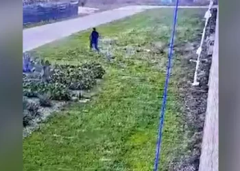 Evasione Raduano dal carcere di Nuoro, processo immediato per 8