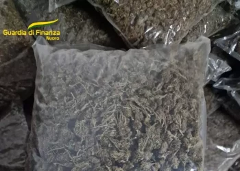 Maxi piantagione di marjiuana nel Nuorese, arrestato un 49enne