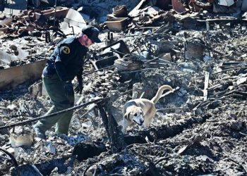 Incendi Los Angeles, le vittime salgono a 24