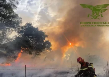 La campagna regionale antincendio partirà l’1 maggio