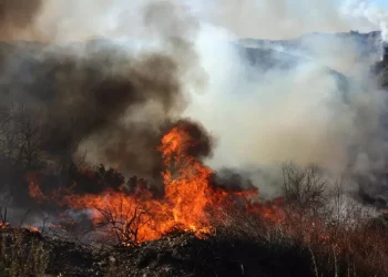 Almeno sei incendi a Los Angeles, 11 morti