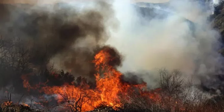 Almeno sei incendi a Los Angeles, 11 morti