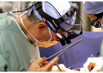 Record trapianti, 4.692 nel 2024 numero più alto di sempre