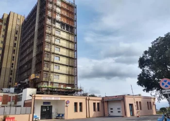 Travolto da due vacche, 75enne muore nel nord Sardegna