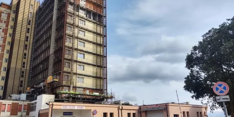 Travolto da due vacche, 75enne muore nel nord Sardegna