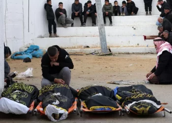 Il regime sanguinario israeliano uccide 6 palestinesi e ne ferisce 35 nella Cisgiordania Occupata