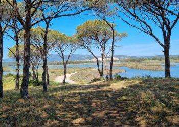 “I sentieri dell’acqua celata”, docu-video su biosfera Tepilora