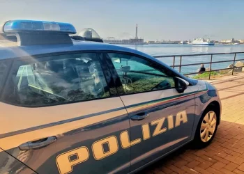 Uccide la madre con 15 coltellate