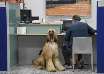 Quasi 10 milioni i cittadini che hanno richiesto un prestito