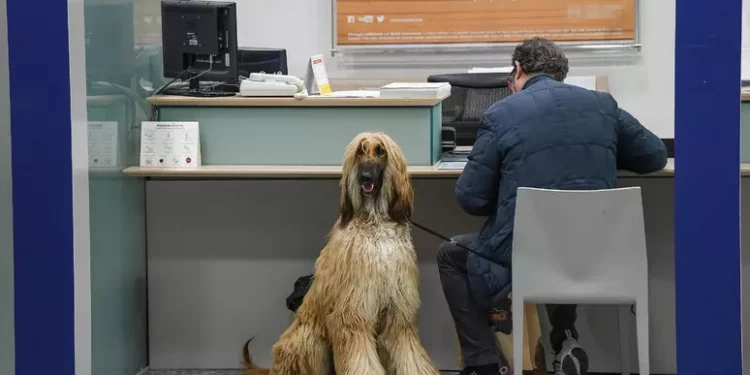 Quasi 10 milioni i cittadini che hanno richiesto un prestito