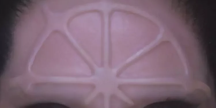 Gaia, rosa dei venti è il titolo del nuovo album