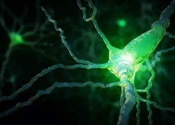 Nuova luce sull’Alzheimer, potrebbe esserci un’unica causa