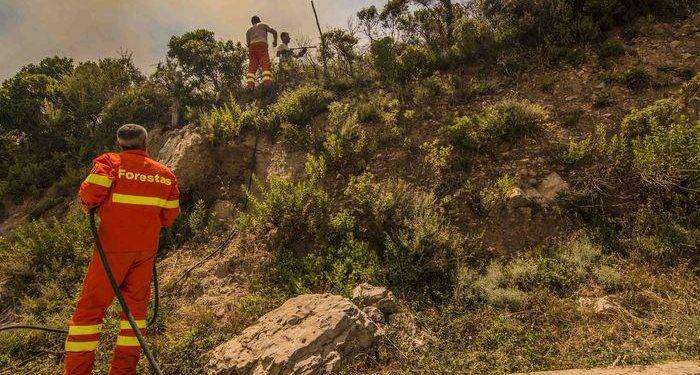 Forestas, la verità dello SNAF sui trent’anni di precariato