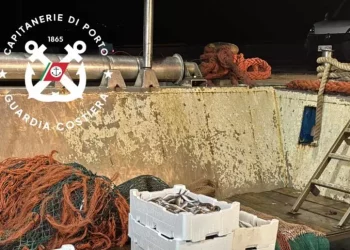 Pesce sequestrato nel nord Sardegna donato in beneficenza