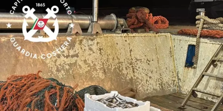 Pesce sequestrato nel nord Sardegna donato in beneficenza