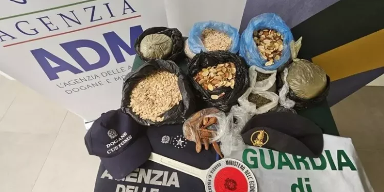 Sequestrati in aeroporto Alghero 8 kg di semi non certificati