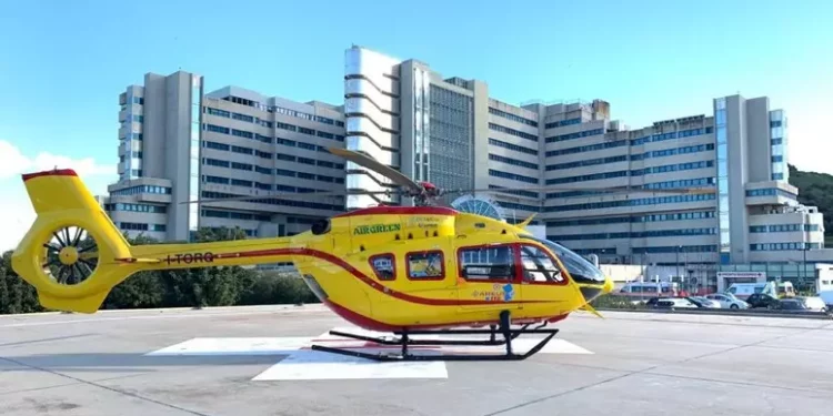 Travolto dall’albero che stava sradicando, muore in ospedale
